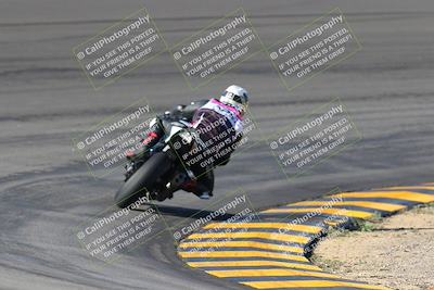 media/Jan-20-2023-Apex Assassins (Fri) [[05880b9d29]]/Trackday 1/Session 2 (Bowl Backside)/